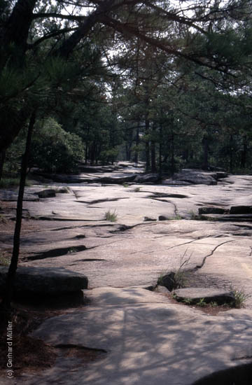 Atlanta1996_067