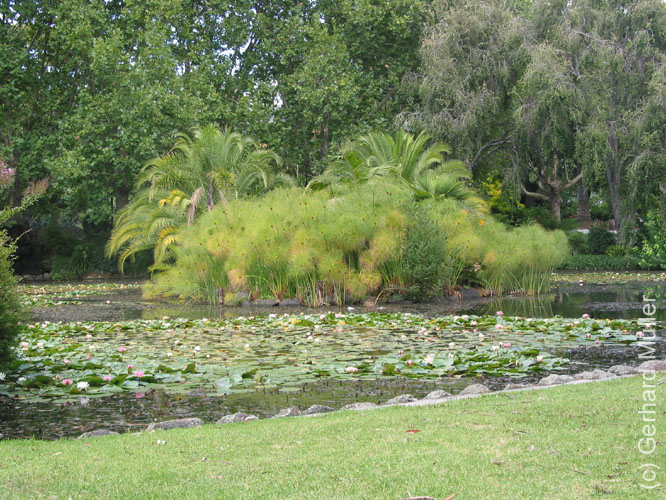 Melbourne-033