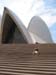 Sydney-085