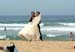 Sydney-098a