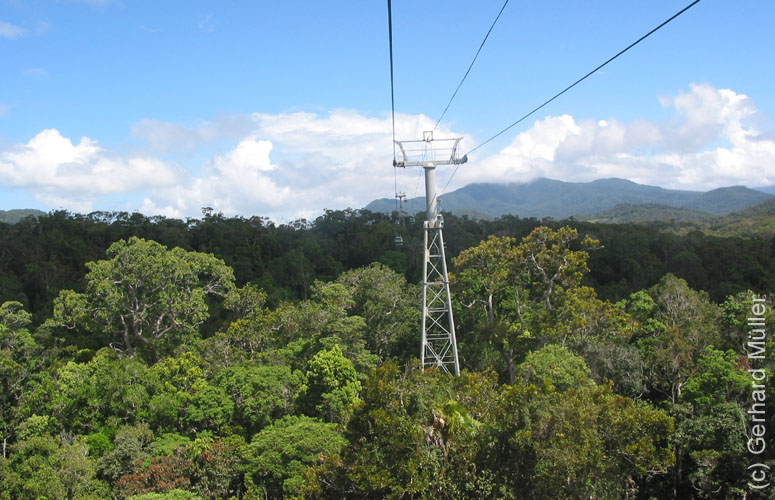 Cairns-033