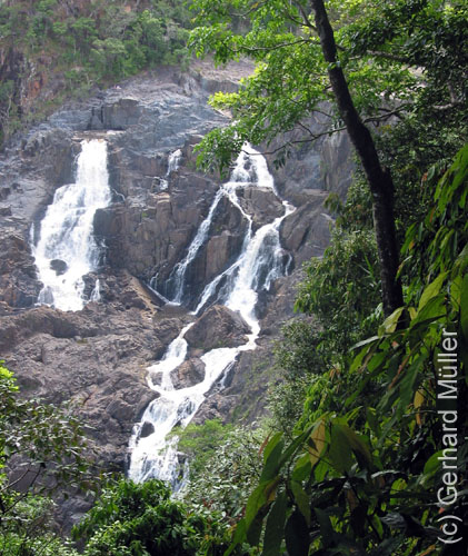 Cairns-034