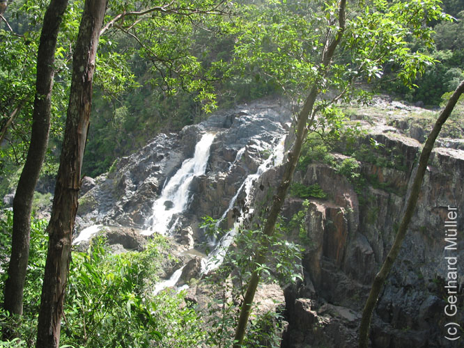 Cairns-035