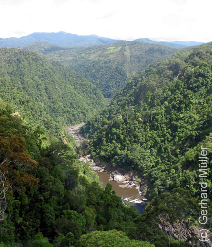 Cairns-036