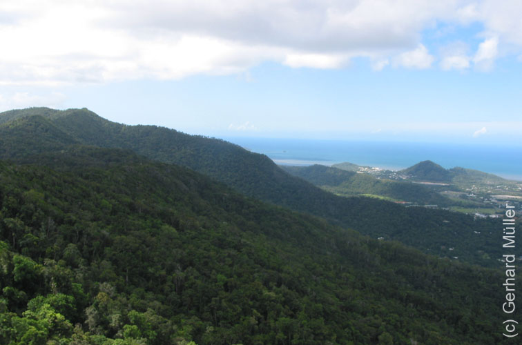 Cairns-043