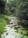 Cairns-030