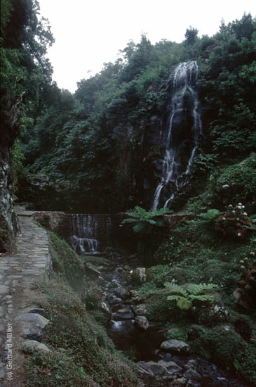 Azoren-067