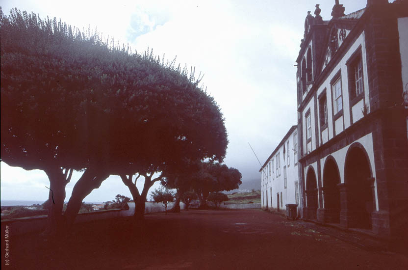 Azoren-186