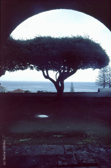 Azoren-187