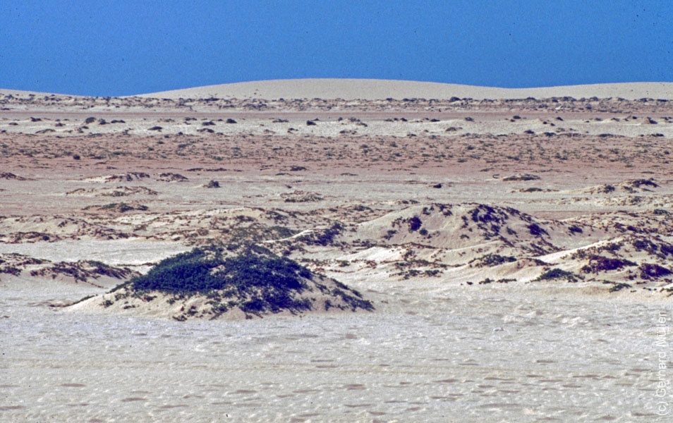 1_CapVerde_1994_Praia_028