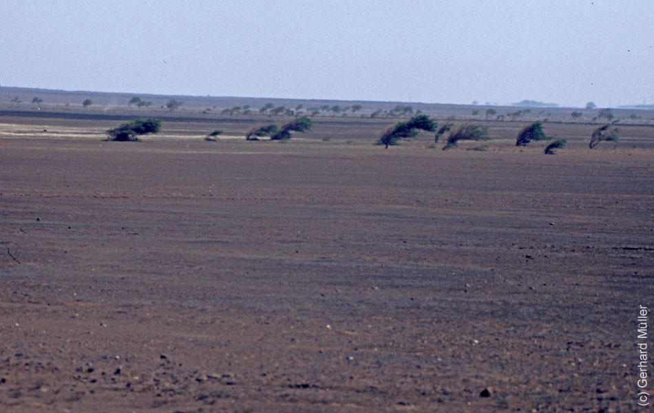 1_CapVerde_1994_Praia_055