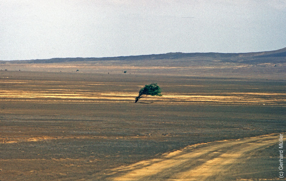 1_CapVerde_1994_Praia_061
