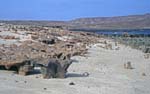 1_CapVerde_1994_Praia_072