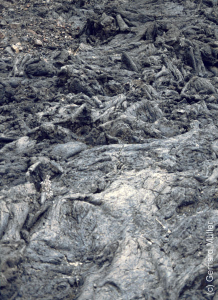 3_CapVerde_1994_Fogo_056