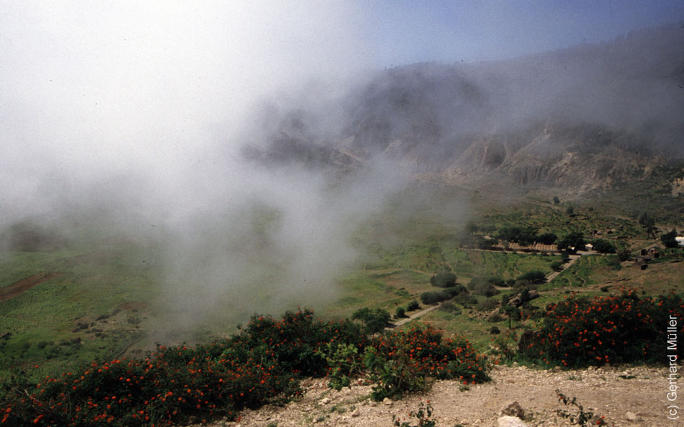 6_CapVerde_1994_Cova-Krater_006