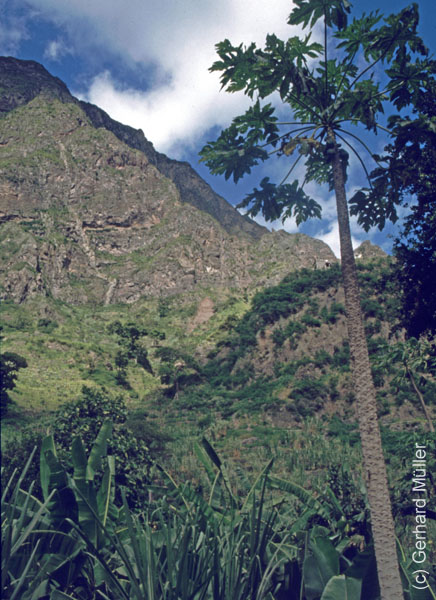 6_CapVerde_1994_Cova-Krater_031