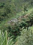 6_CapVerde_1994_Cova-Krater_021