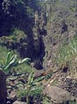 6_CapVerde_1994_Cova-Krater_025