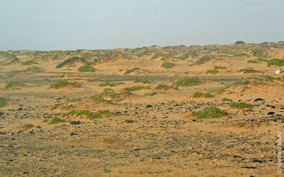 CapVerde_2003_0352