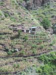 CapVerde_2003_0059