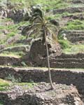 CapVerde_2003_0062