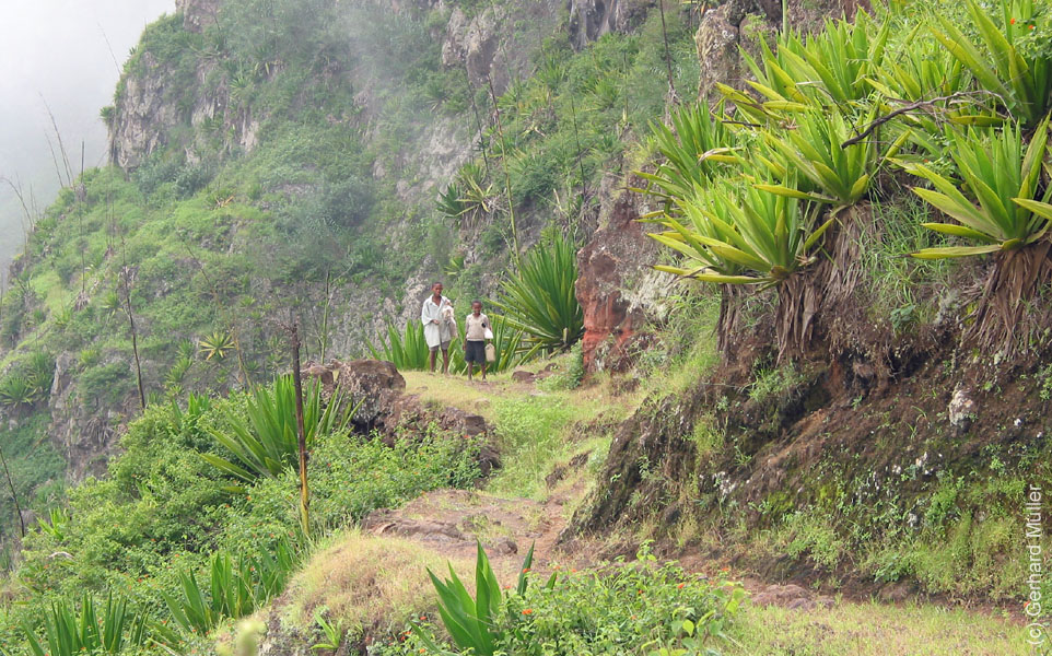 CapVerde_2003_0080