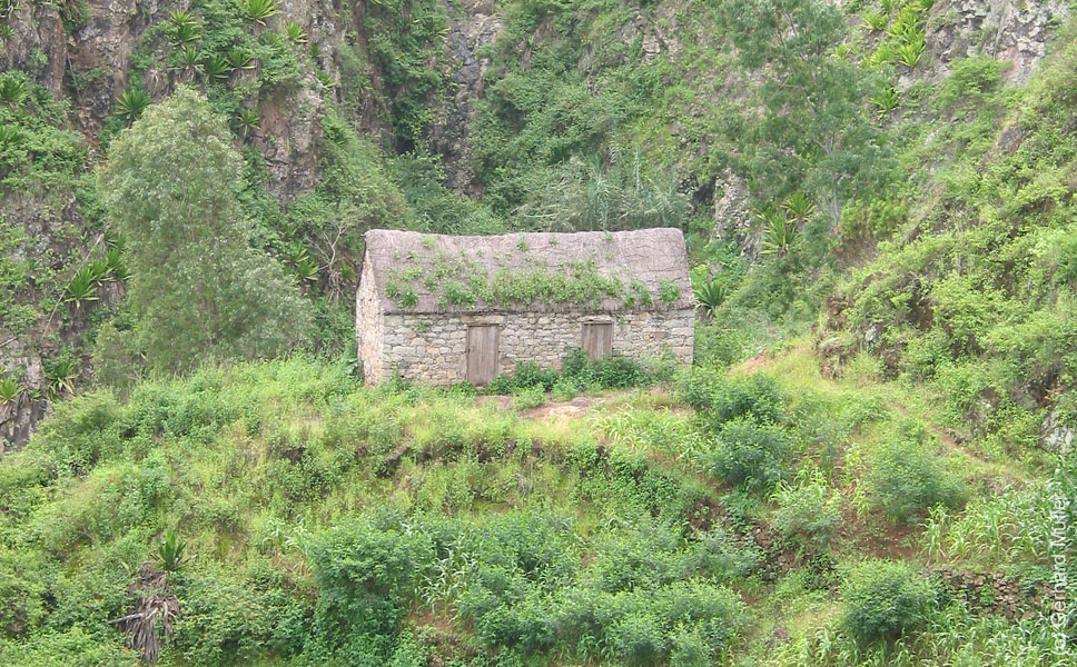 CapVerde_2003_0086