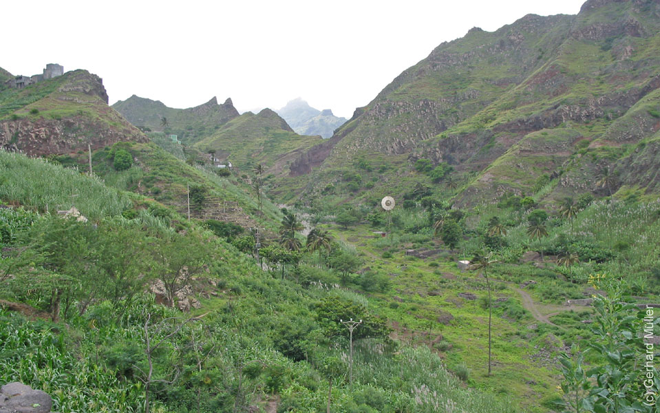 CapVerde_2003_0098