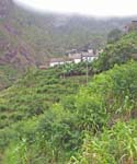 CapVerde_2003_0126