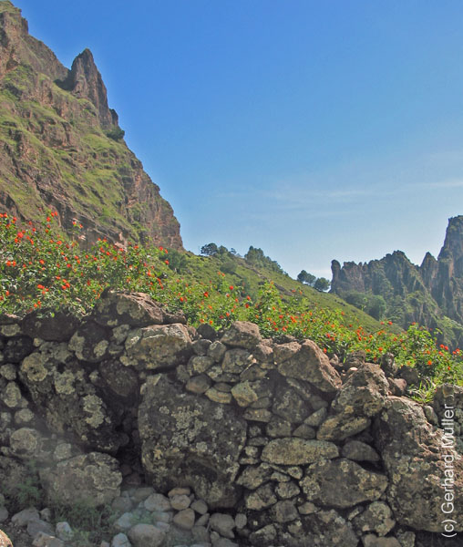 CapVerde_2003_0152