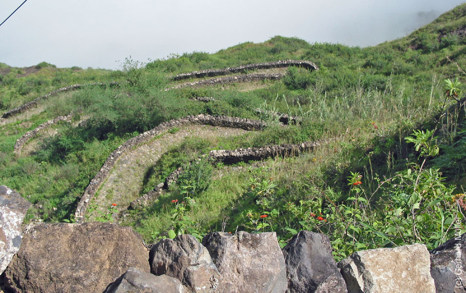 CapVerde_2003_0167