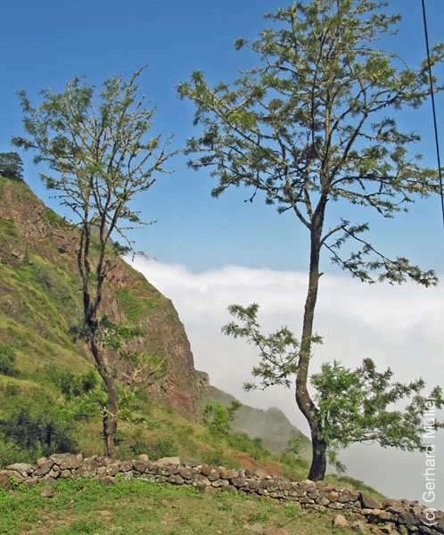 CapVerde_2003_0176