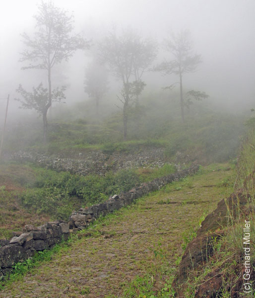 CapVerde_2003_0177