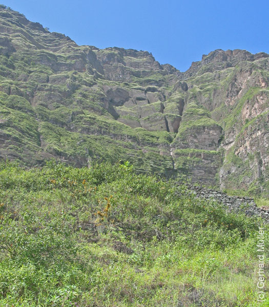 CapVerde_2003_0179