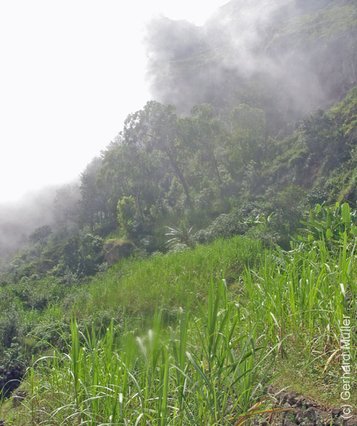 CapVerde_2003_0184