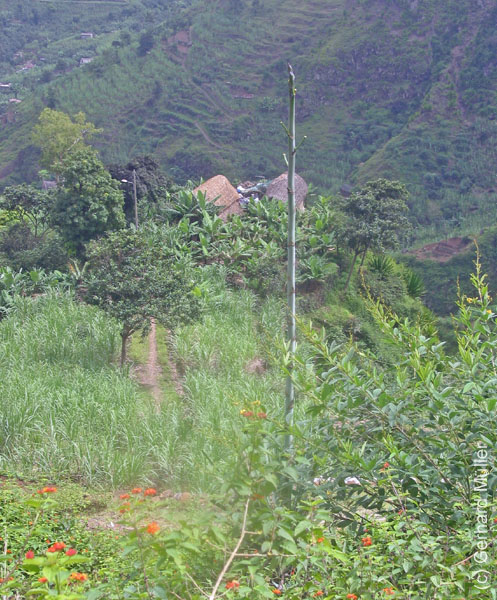CapVerde_2003_0187