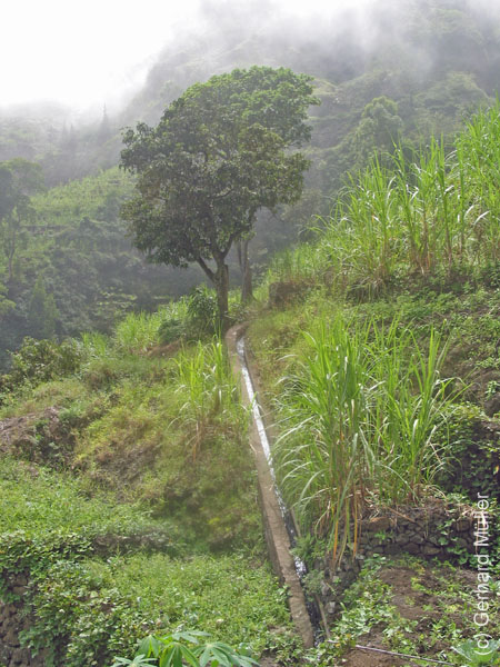 CapVerde_2003_0188