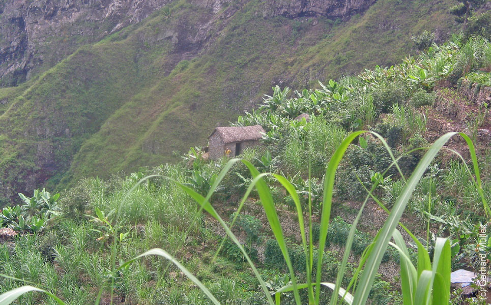 CapVerde_2003_0191