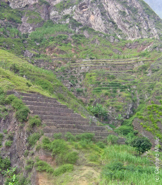 CapVerde_2003_0198