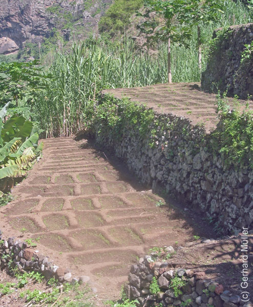 CapVerde_2003_0206