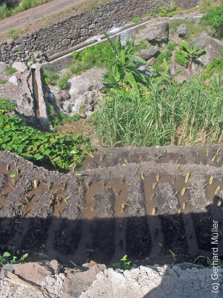 CapVerde_2003_0208
