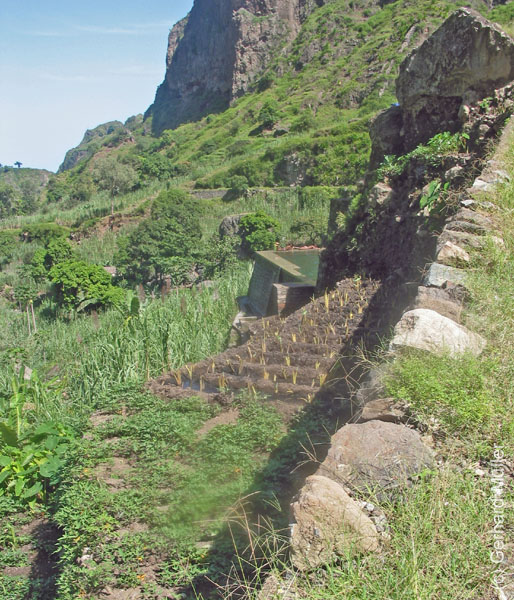 CapVerde_2003_0209