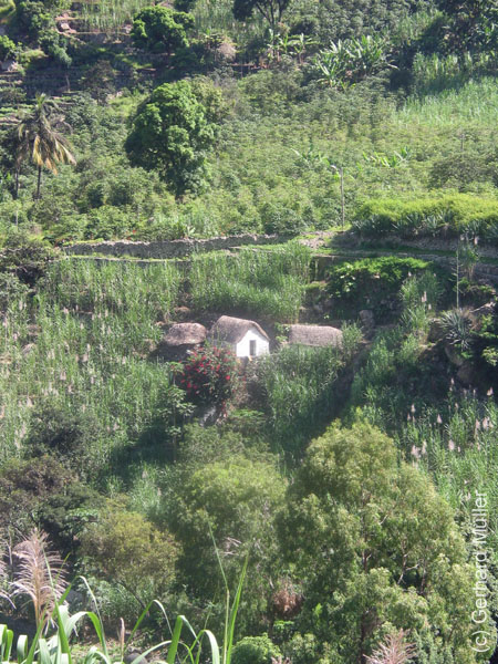 CapVerde_2003_0212