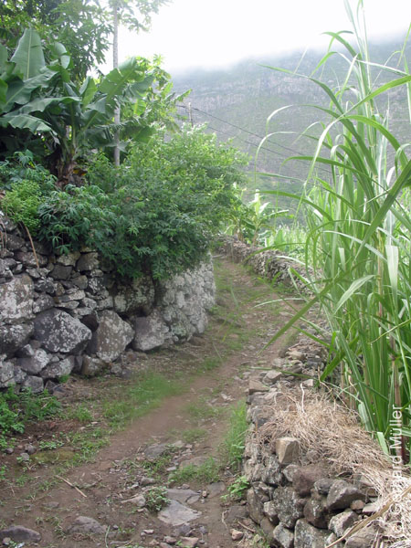 CapVerde_2003_0224