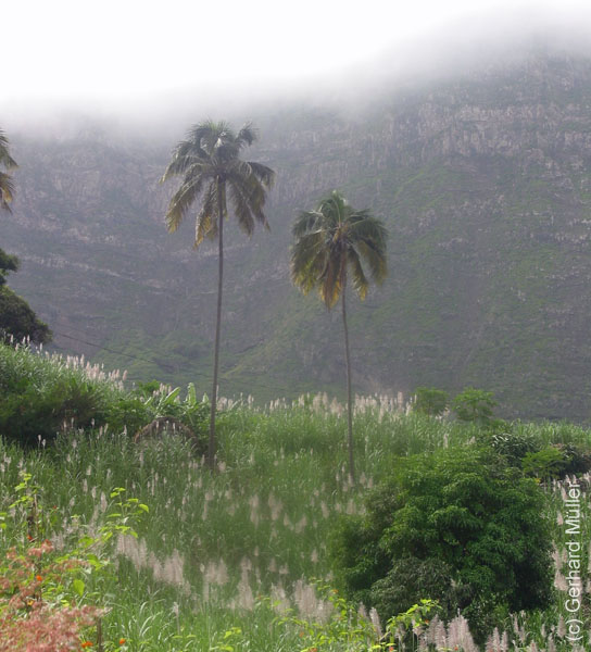 CapVerde_2003_0226