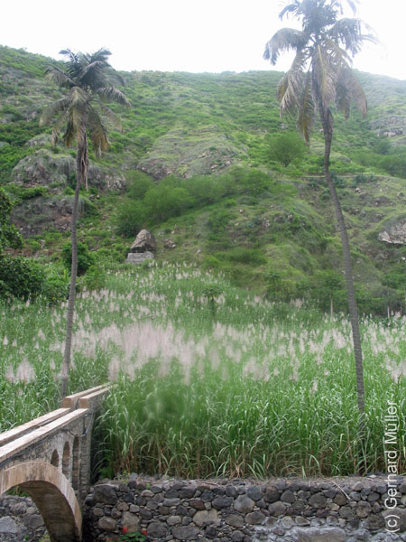 CapVerde_2003_0232