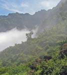 CapVerde_2003_0173
