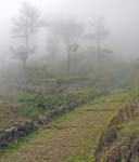 CapVerde_2003_0177