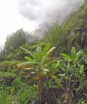 CapVerde_2003_0182
