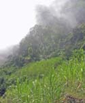 CapVerde_2003_0184